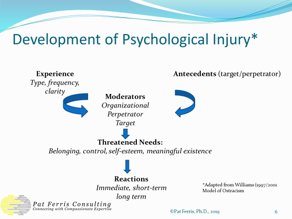 development of psychological injury